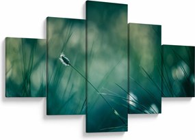 Obraz - Szczegół trawy (125x70 cm)