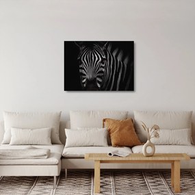Obraz na szkle zebry (70x50 cm)
