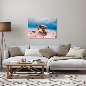 Obraz na szkle żółwia w oceanie (70x50 cm)