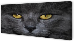 Obraz na płótnie Elegancki Czarny Kot