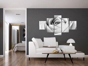 Obraz - Detal kwiatu róży (125x70 cm)