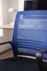 Pewny siebie Krzeso Kole