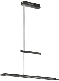 Czarna metalowa lampa wisząca LED ze ściemniaczem Tenso – Fischer & Honsel