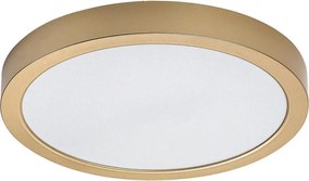 Rabalux 75079 - LED plafon łazienkowy SHAUN PLUS 30W/230V śr. 30 cm IP44 złoty