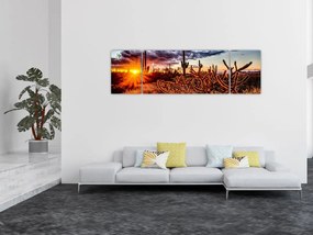 Obraz - Złota godzina pustyni (170x50 cm)