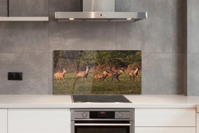 Panel Szklany Jelenie pole wschód słońca