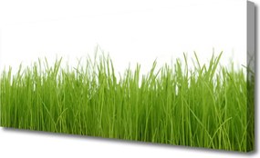 Obraz canvas Soczysta Zielona Trawa