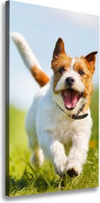 Foto obraz na płótnie pionowy Pies Jack Russell