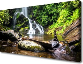 Obraz canvas Szumiący Leśny Potok