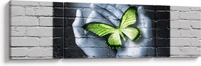 Obraz - Zielony motyl w ścianie (170x50 cm)