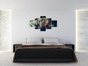 Obraz - tygrys syberyjski (125x70 cm)