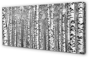 Obraz drukowany na płótnie Czarno-Białe Drzewa