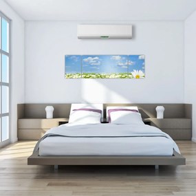 Obraz kwitnącej łąki ze stokrotkami (170x50 cm)
