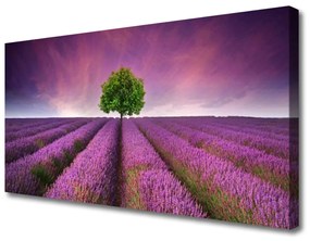 Obraz Canvas Łąka Drzewo Przyroda