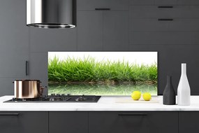 Panel Kuchenny Trawa Woda Natura Roślina