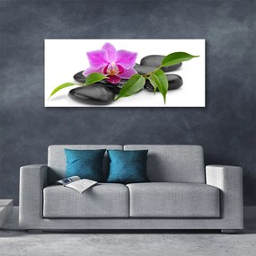 Obraz canvas Orchidea w Nowoczesnym Wydaniu