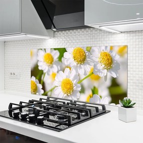 Panel nad blat kuchenny Stokrotki w Promieniach Słońca