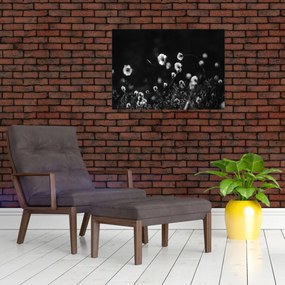 Obraz - Łąka z trawą bawełnianą N⁰1 (70x50 cm)
