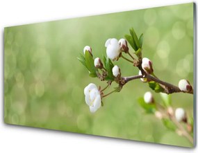 Panel Kuchenny Świeżość Polnych Kwiatów