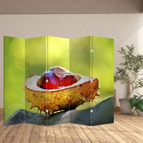 Parawan - Kasztan (210x170 cm)