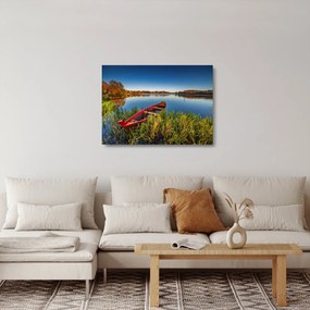 Obraz na szkle czerwonej kropki (70x50 cm)