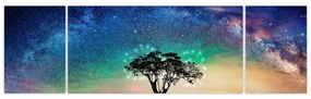 Obraz - Odpoczynek pod gwiazdami (170x50 cm)