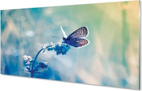 Panel Kuchenny Szklany Delikatność Barwnego Motyla