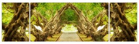Obraz - Żywy tunel plumerii (170x50 cm)