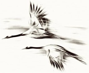 Obraz na płótnie Żurawie 2, Seria Shanghai