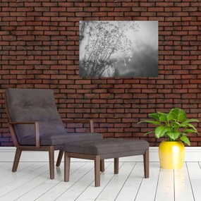 Obraz na szkle - Łąka po deszczu (70x50 cm)