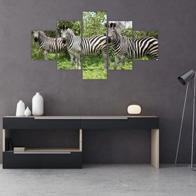 Obraz z zebrami (125x70 cm)