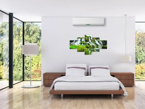 Obraz - wodospady z zielenią (125x70 cm)