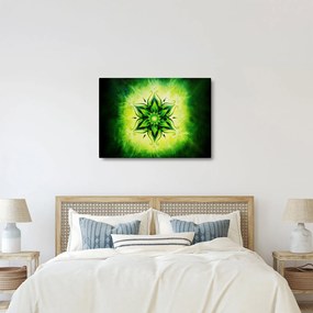 Obraz - Kwiatowa mandala na zielonym tle (70x50 cm)