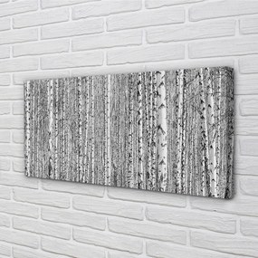 Obraz na płótnie Czarno-Biały Las