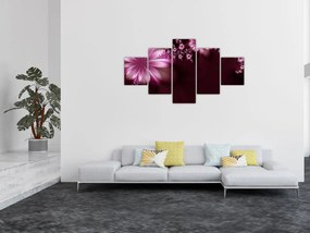 Obraz abstrakcji - kwiaty (125x70 cm)
