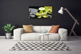 Obraz Canvas Orchidea Kwiaty