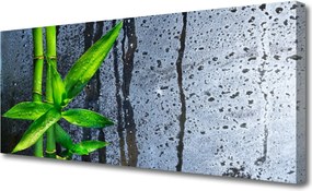 Obraz canvas Świeżość Zielonego Bambusa