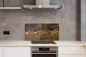 Panel Szklany Jelenie na Polu o Wschodzie Słońca