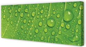 Zdjęcie na płótnie Makro Detal Liścia z Rosą