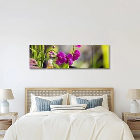 Obraz - spa and stones (170x50 cm)