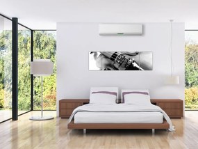 Obraz - Skrzypce (170x50 cm)