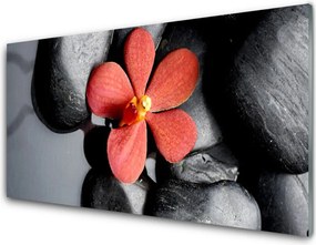 Panel Szklany do Kuchni Równowaga Zen: Kwiat I Skała