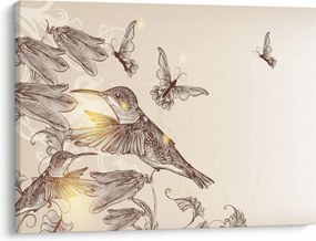 Obraz - Kolibry (70x50 cm)