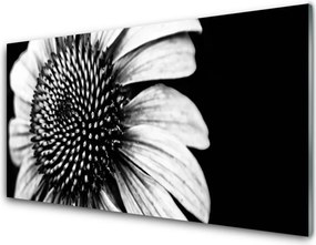 Szkło do Kuchni na Ścianę Rozkwitająca Natura