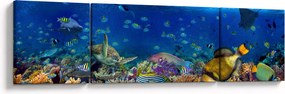 Obraz - Ocean (170x50 cm)