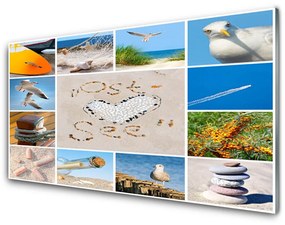 Obraz Akrylowy Ocean Plaża Mewy Krajobraz