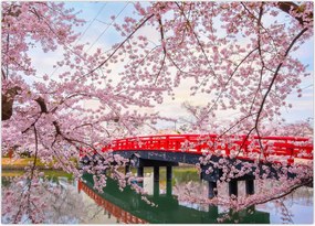 Obraz - Hirosaki, Japonia (70x50 cm)