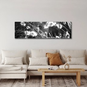 Obraz - Pajęczyna na łące (170x50 cm)