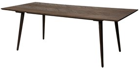 Stół w dekorze wiązu 100x220 cm Bone – DAN-FORM Denmark