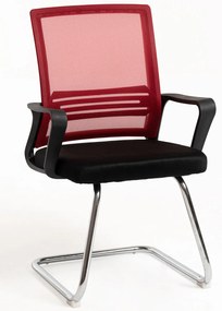 Pewny siebie Krzeso Kole